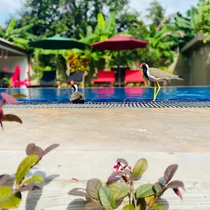 book here
